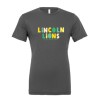 Lincoln Lions Multi Color