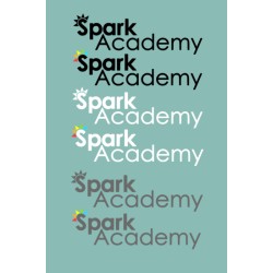 Spark Academy Girl Flutter tee