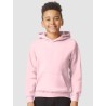 Spark Academy Youth Hoodie