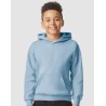 Spark Academy Youth Hoodie