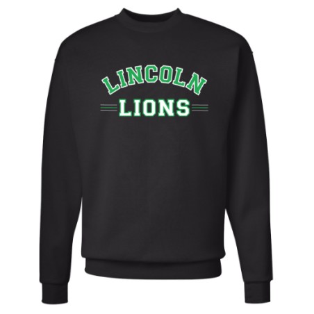 Lincoln Lions curved youth & adult