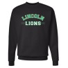 Lincoln Lions curved youth & adult