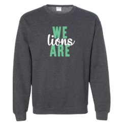 We Are Lions youth and adult