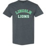 Lincoln Lions curved youth & adult