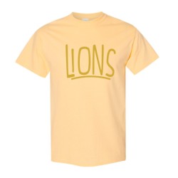 LIONS Adult and Youth