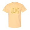 LIONS Adult and Youth