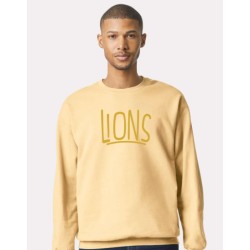 LIONS Adult and Youth
