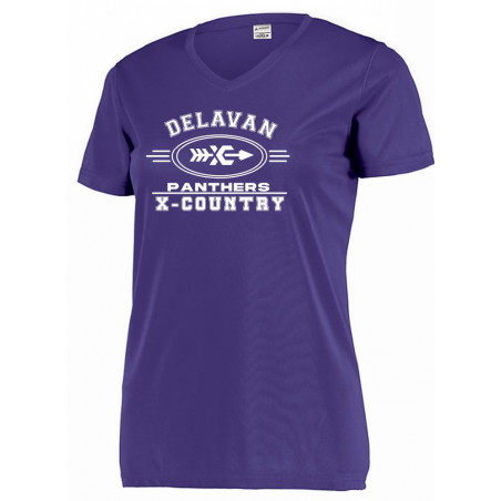 Delavan Ladies V Neck Performance Tee