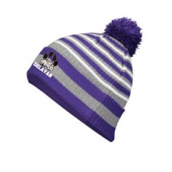 Delavan Stripe Beanie