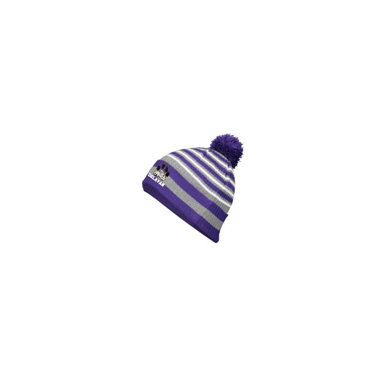 Delavan Stripe Beanie