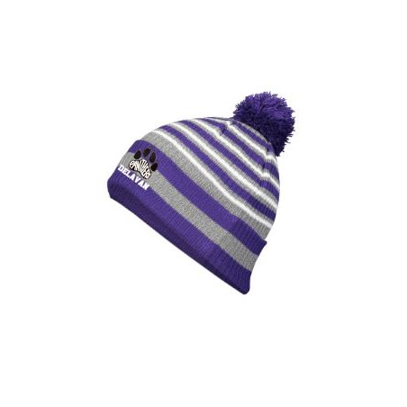 Delavan Stripe Beanie