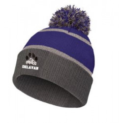 Delavan Reflective Beanie