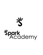 SPARK ACADEMY