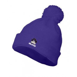 Delavan Purple Beanie
