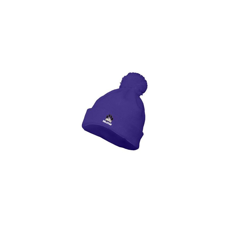 Delavan Purple Beanie