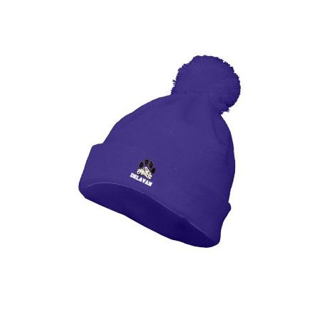 Delavan Purple Beanie