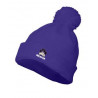 Delavan Purple Beanie